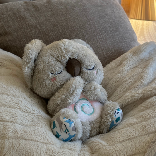 CozyKoala